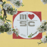 msc-wand