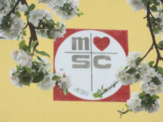 msc-wand