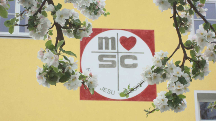 msc-wand